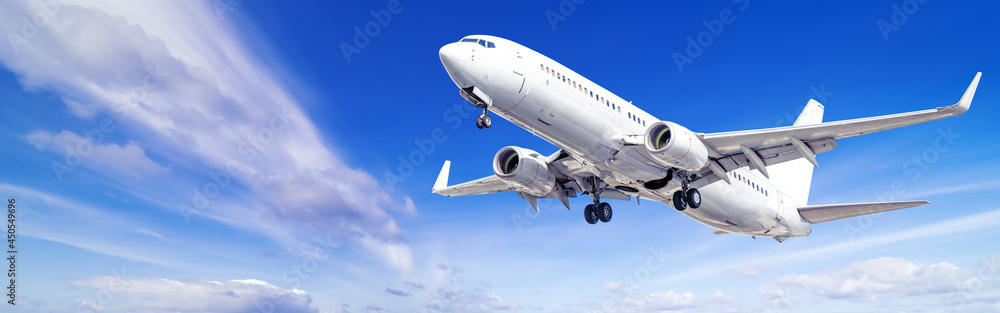 Fototapeta modern airliner against a cloudy sky