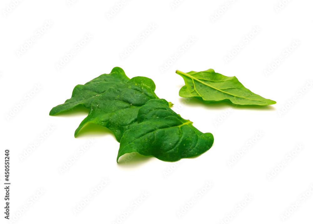Pile of homegrown New Zealand spinach or Tetragonia tetragonioides leaves isolated on white Pile of homegrown New Zealand spinach or Tetragonia tetragonioides leaves isolated on white