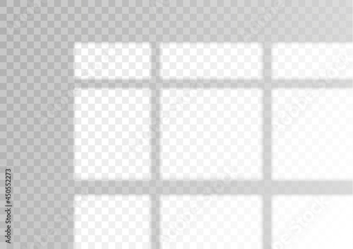 The transparent overlay window and blinds shadow.