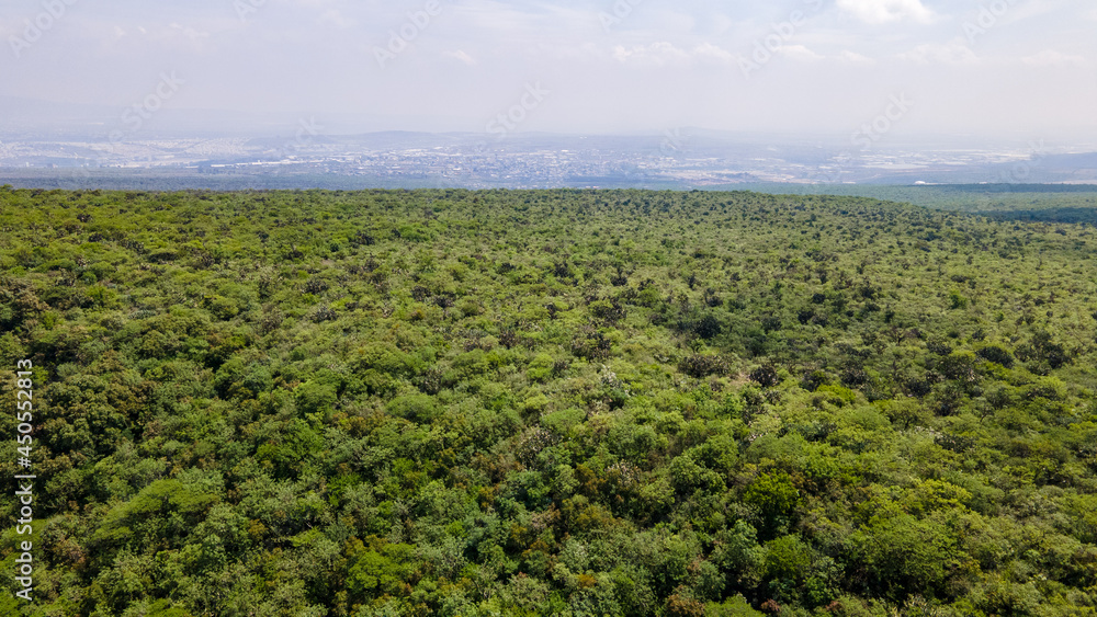 Vista aérea del Parque Nacional El Cimatario en Querétaro, México