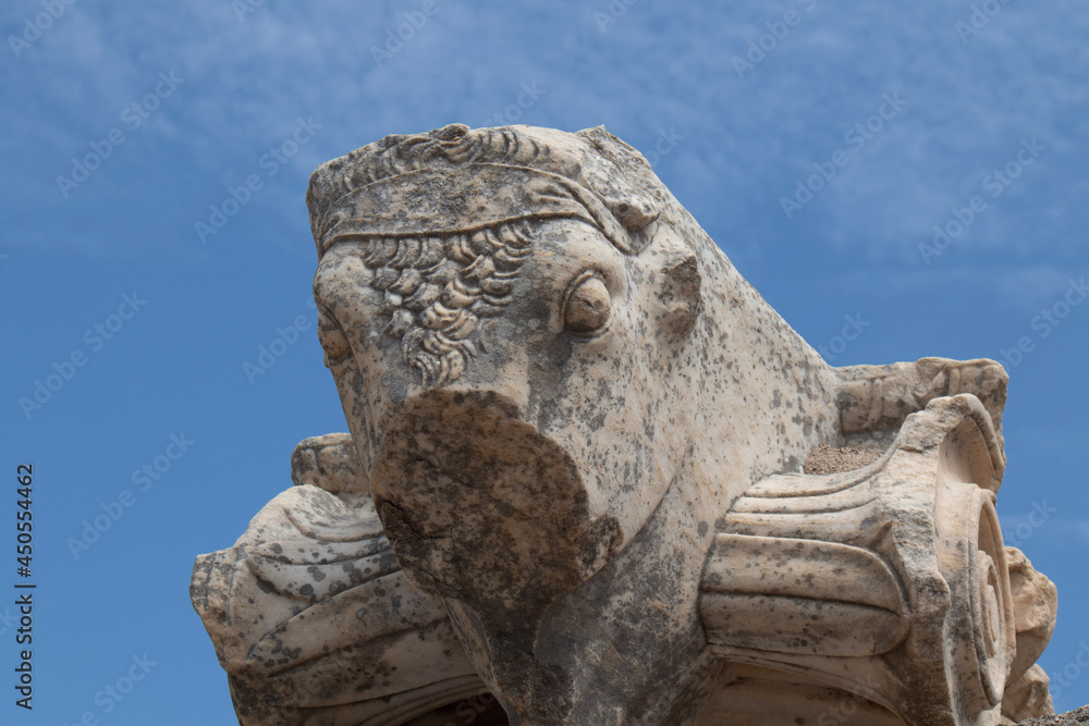 stone lion statue