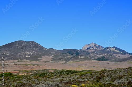 Elfin Forest in Morro Bay, CA.