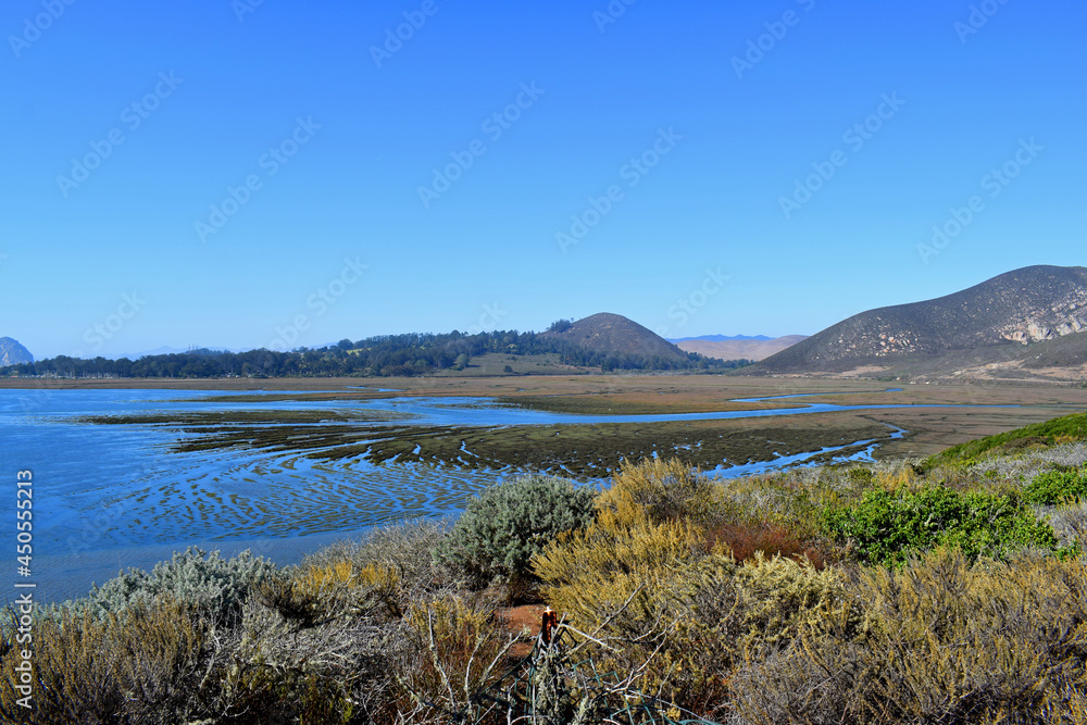 The bay near Elfin Forest in Morro Bay, CA.