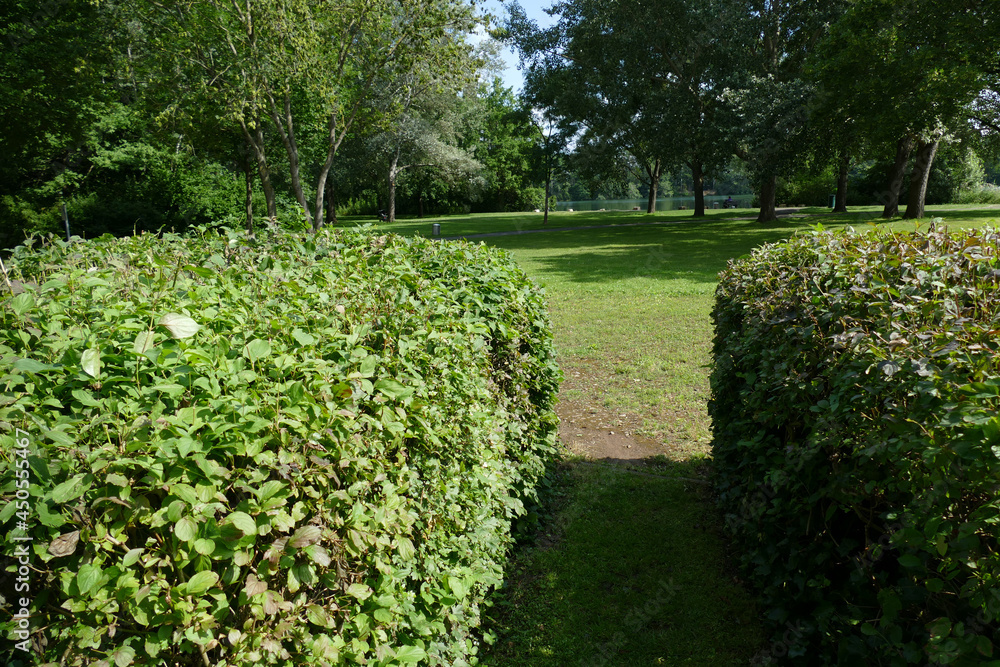 Obraz premium Park Schwarzer See, summer landscape at the Black Sea Municipal , Garbsen, district of Hanover, Germany. 