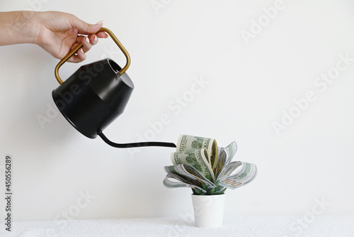 A hand is watering a flower from a watering can made of dollars in a pot on a white background. The concept of profitable investments and investments.