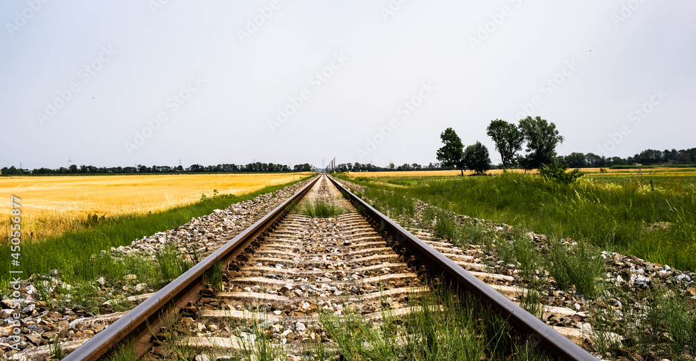 empty railroad track in the field 