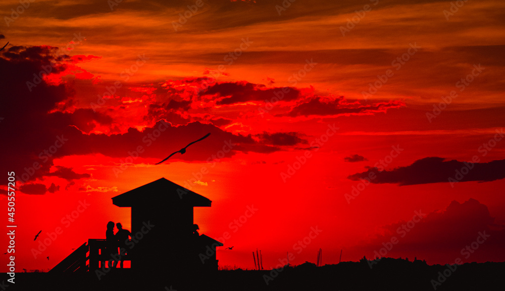 Fototapeta premium Siesta Key