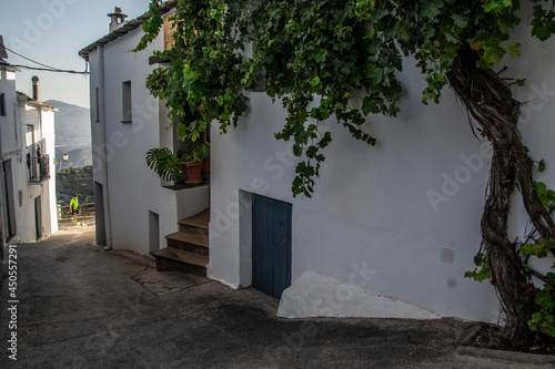 street of white houses with blue doors of Mairena de la Alpujarra with creeper tree with grapes © Elena Fernández 