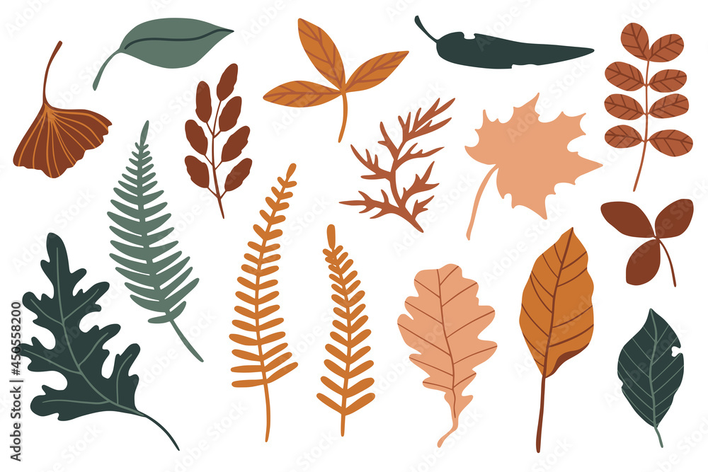 Fototapeta premium Vector set of flat botany elements. Simple autumn collection