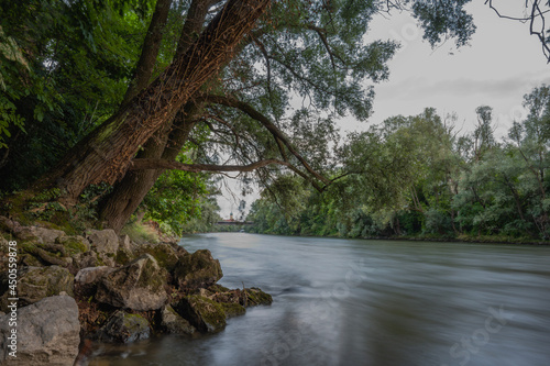 Fototapeta Naklejka Na Ścianę i Meble -  river in the forest