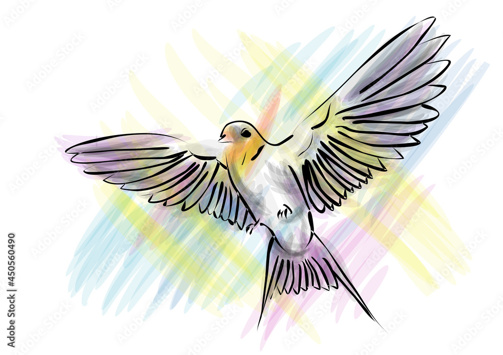 Obraz premium Hirundo rustica