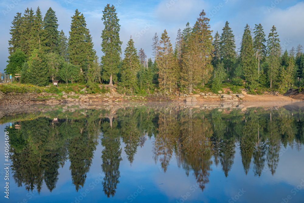 Trees mirroring in the water, on the Blue dam lake in germany with beautiful water reflections and forest landscape and blue sky - oderteich, harz