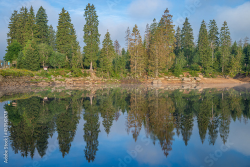 Fototapeta Naklejka Na Ścianę i Meble -  Trees mirroring in the water, on the Blue dam lake in germany with beautiful water reflections and forest landscape and blue sky - oderteich, harz