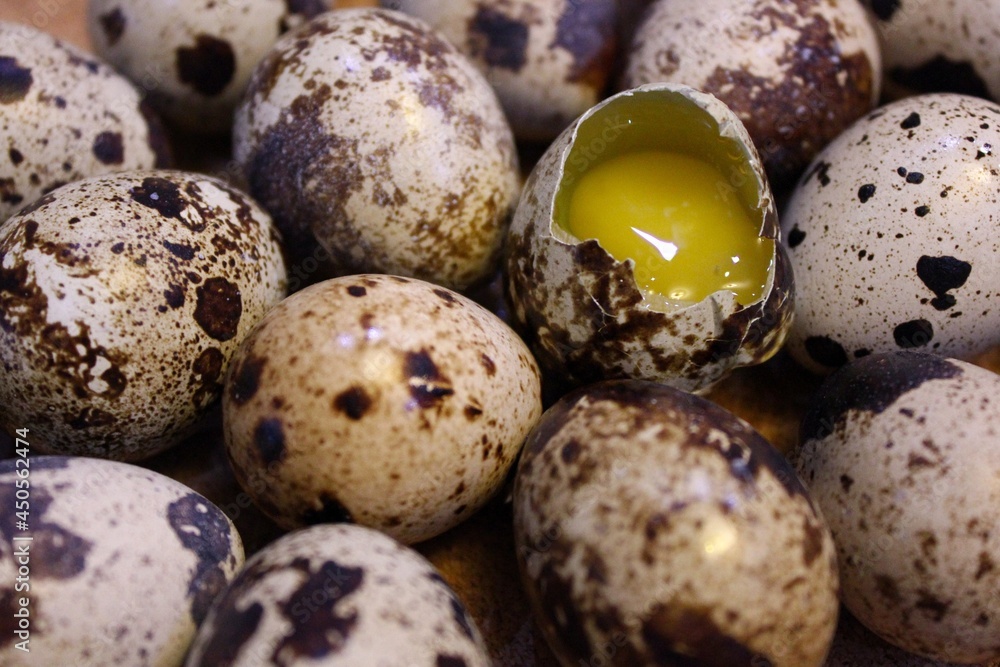 Obraz premium quail eggs in a basket