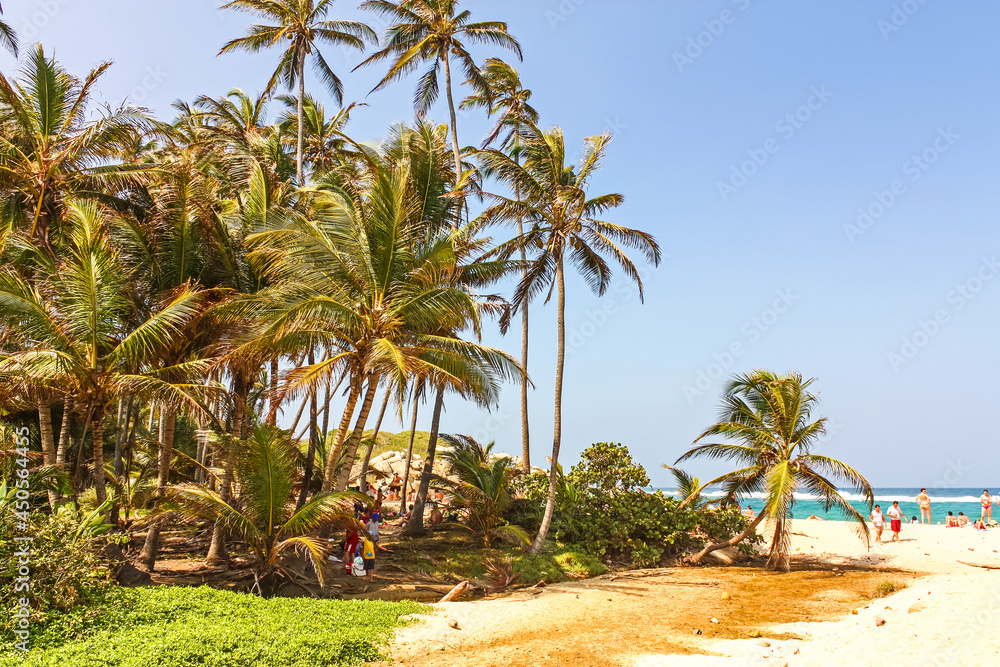 People in Caribbean beach with tropical forest in Tayrona National Park, Colombia. Tayrona National Park is located in the Caribbean Region in Colombia.