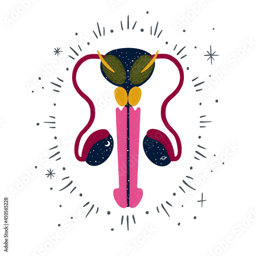 abstract modern illustration of the male reproductive system. health and beauty