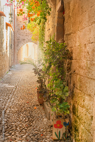 Fototapeta Naklejka Na Ścianę i Meble -  A charming street in Rhodes - Greece 