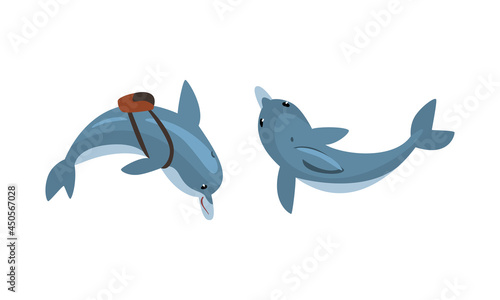 Blue Dolphin Character Floating with Backpack Vector Set