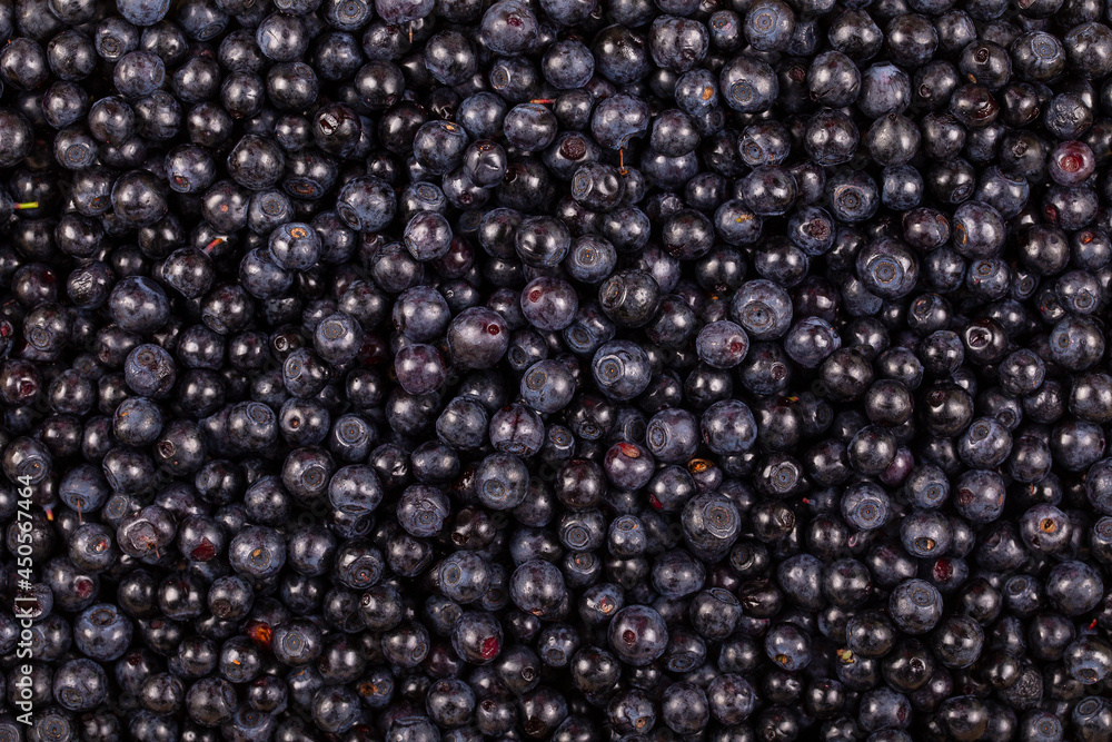 Surface covered with a layer of wild forest blueberry, close up Surface covered with a layer of wild forest blueberry, close up