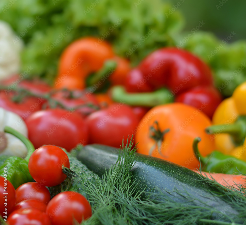 Colorful set organic food. Fresh raw vegetables. Healthy vegetarian food.Vegetarian eating concept