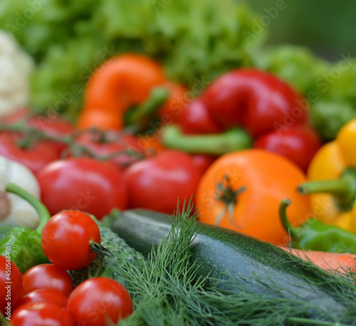 Colorful set organic food. Fresh raw vegetables. Healthy vegetarian food.Vegetarian eating concept