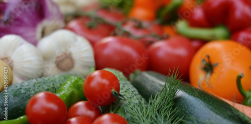 Colorful set organic food. Fresh raw vegetables. Healthy vegetarian food.Vegetarian eating concept