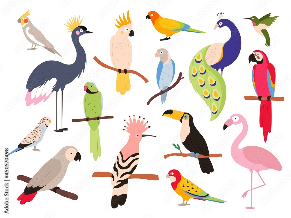 Ταπετσαρία Flat parrots and tropical jungle birds flying and sitting