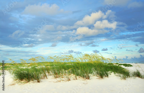 Fotografija Beautiful White Sand Florida Beach with Sea Oats on a Cloudy Morning