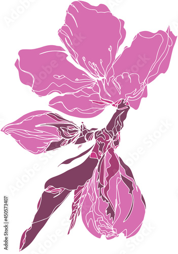 flower branch with leaves and unopened bud isolated vector background