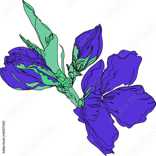 flower branch with leaves and unopened bud isolated vector background