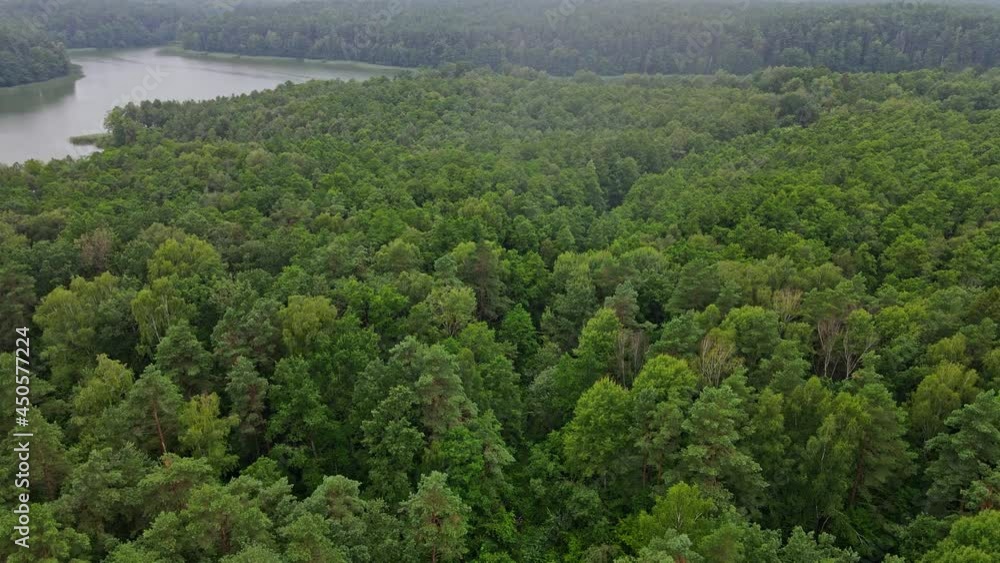 Fly over an old bridge over the river, narrow gauge railroad and forest in the rain. Nature concept. Fly over an old bridge over the river, narrow gauge railroad and forest in the rain. Nature concept.