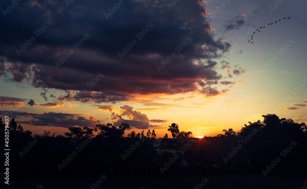 Fototapeta premium Orange Sunset 