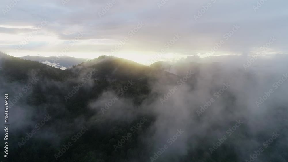 Epic morning Flight over Beautiful mountains and clouds at sunrise in Carpathian Mountains, Ukraine. Flying through the clouds above mountain tops. Rainy weather.. Misty fog blowing over pine trees Epic morning Flight over Beautiful mountains and clouds at sunrise in Carpathian Mountains, Ukraine. Flying through the clouds above mountain tops. Rainy weather.. Misty fog blowing over pine trees