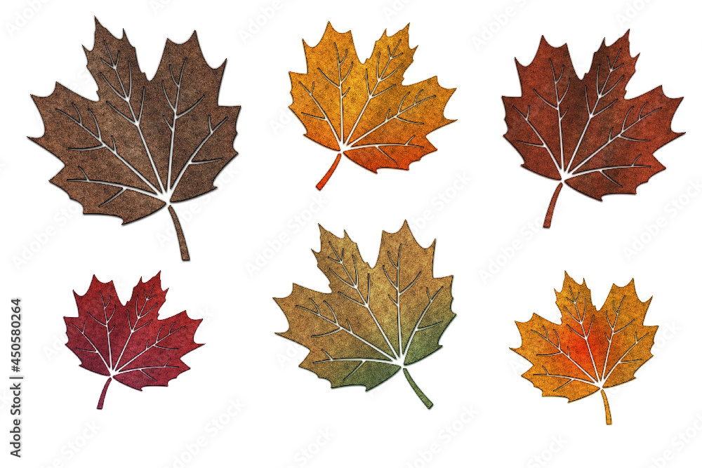 Fototapeta premium fall leaves