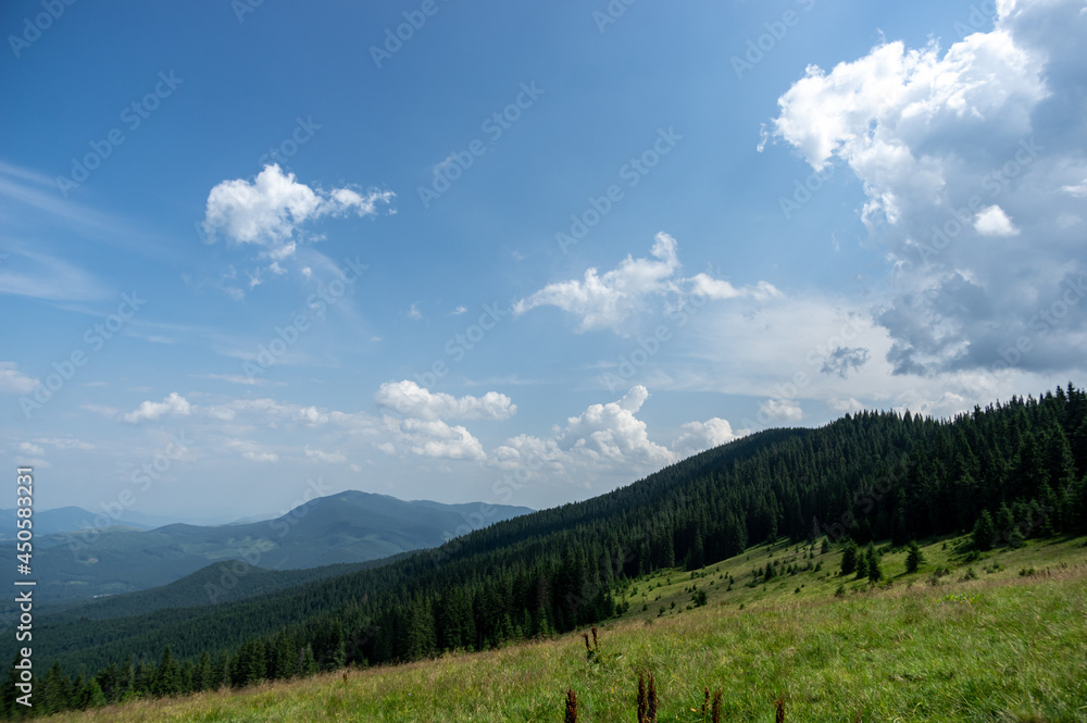 Beautiful summer landscape, mountain meadow among the mountains