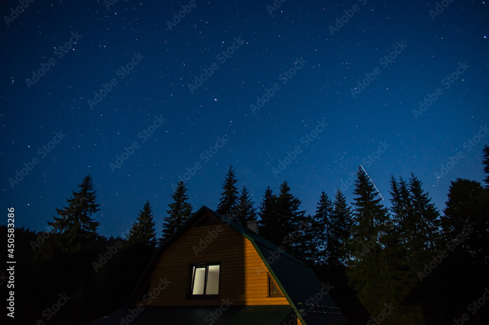 Beautiful night landscape, house among the forest against the background of the starry sky