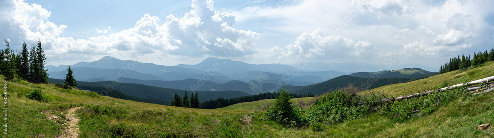 Obraz premium Beautiful summer landscape, mountain meadow among the mountains