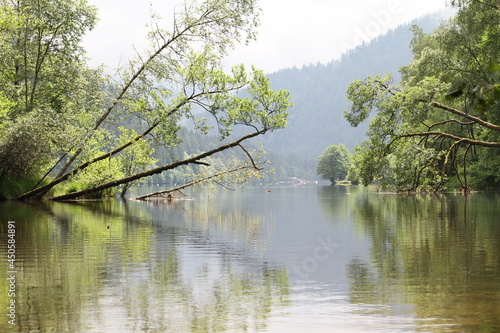 Lake of Longemer photo