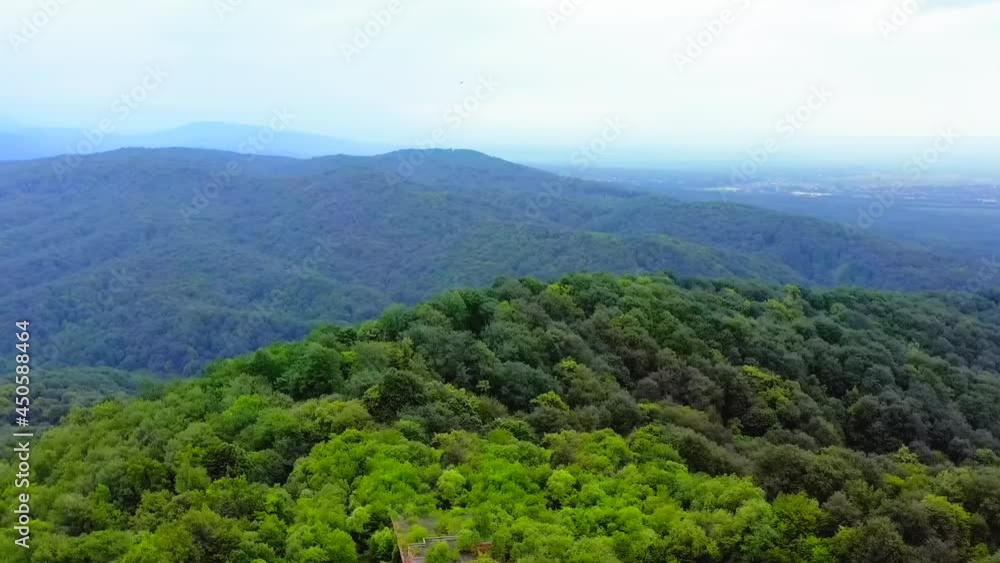 Aerial view of dense green forest and mountains in the distance. The drone lands. Aerial view of dense green forest and mountains in the distance. The drone lands.