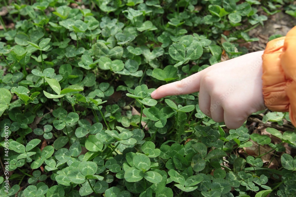 hand holding four-clover leaf hand holding four-clover leaf
