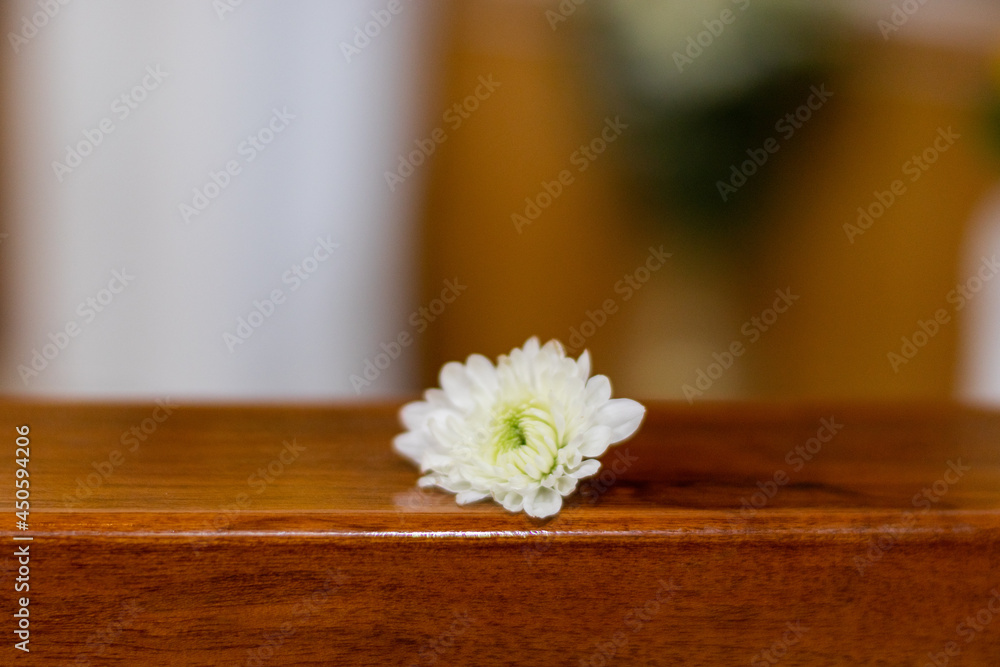 white flowers on table