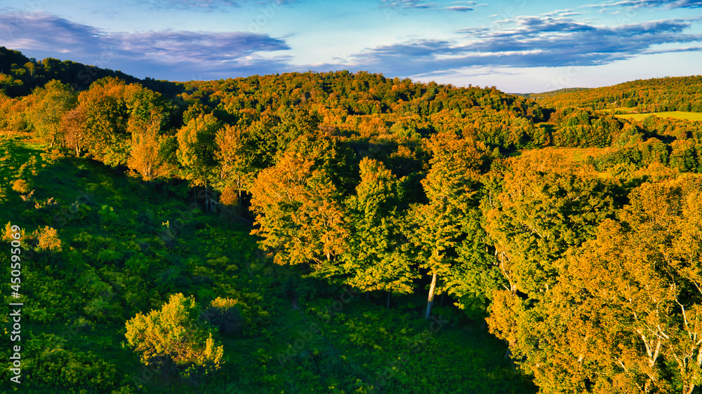 Aerial shot of a hill near Callicoon, in the Catskills area of upstate, New York