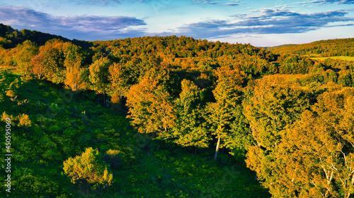 Aerial shot of a hill near Callicoon  in the Catskills area of upstate  New York