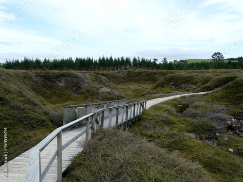 Hiking trail in the tundra