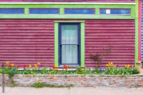 A colorful red exterior wall with lime green, blue and purple trim. In front of the house is a brick flower bed filled with colorful tulip flowers. There's a single double hung window with green trim.