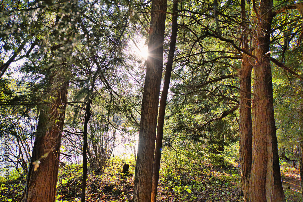 Sun rays are illuminating this scenery near Crystal Lake in the Catskill mountains in upstate, New York Sun rays are illuminating this scenery near Crystal Lake in the Catskill mountains in upstate, New York