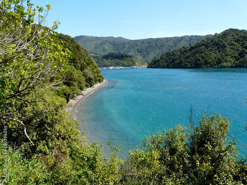 Sceneic New Zealand coastline Sceneic New Zealand coastline