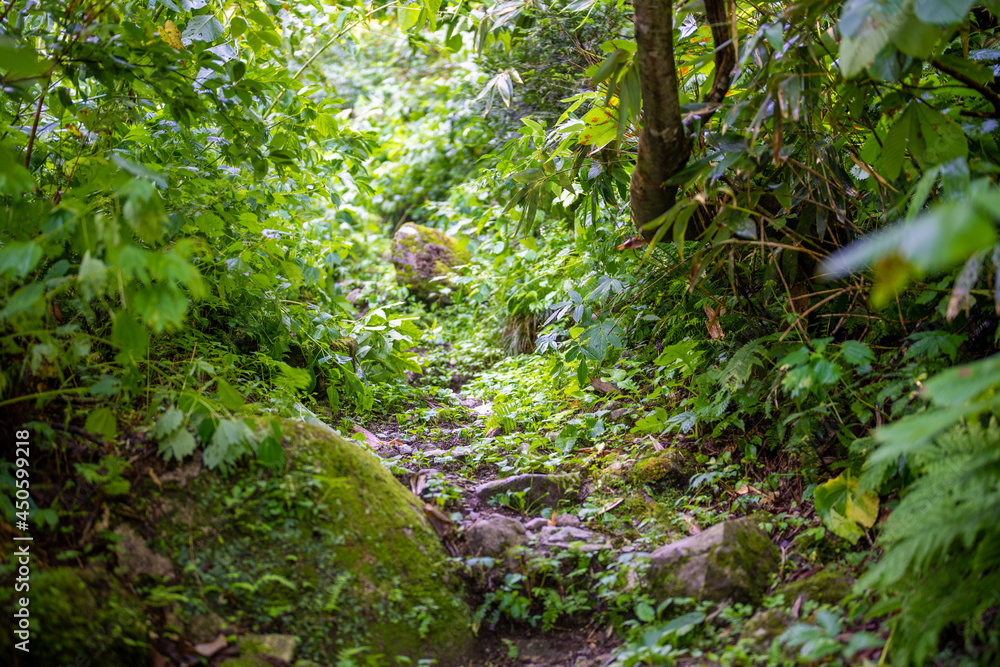 富山県中新川郡上市町の中山から立山の剱岳を望む登山をしている風景 A view of mountain climbing with a view of Tsurugidake in Tateyama from Nakayama in Kamiichi Town, Nakashinagawa County, Toyama Prefecture.