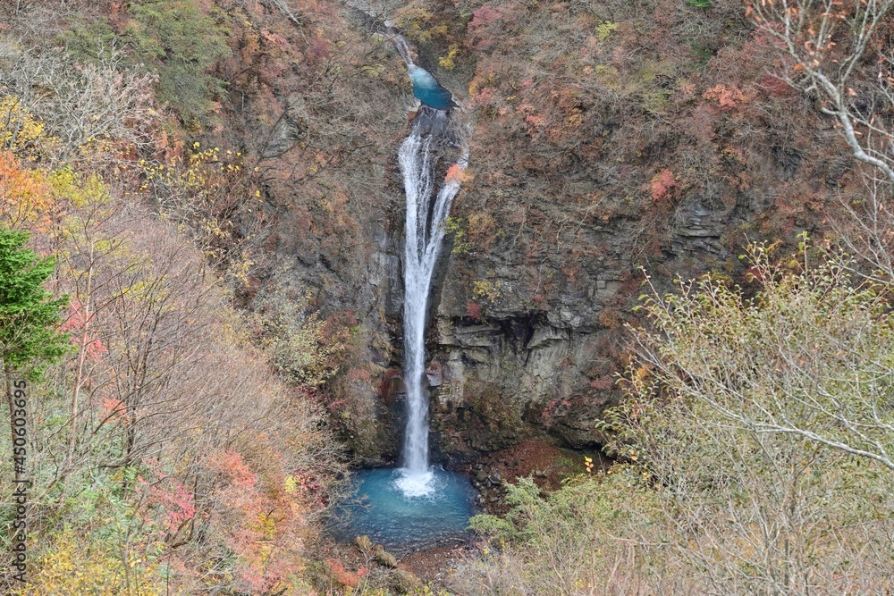 Naklejka premium 展望台から見おろす紅葉に囲まれた駒止の滝の情景@那須、栃木
