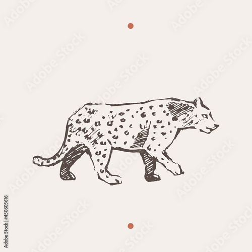 Realistic illustration of leopard. Drawn a vector